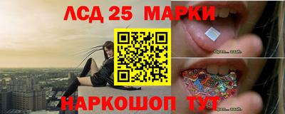 скорость Новозыбков