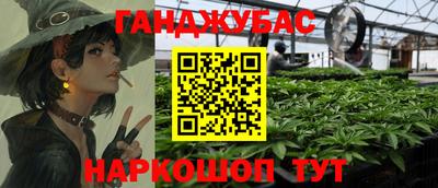 скорость Новозыбков