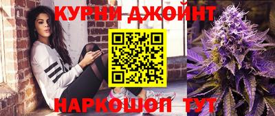 скорость Новозыбков