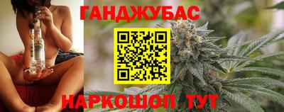 скорость Новозыбков