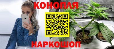 стафф Новокубанск