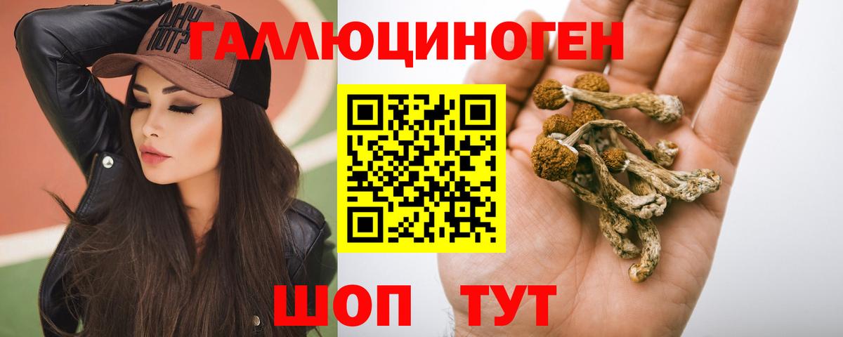 Чебоксары  Галлюциногенные грибы ЛСД  Вход с VPN  где купить наркоту  Псилоцибиновые грибы MAGIC MUSHROOMS 